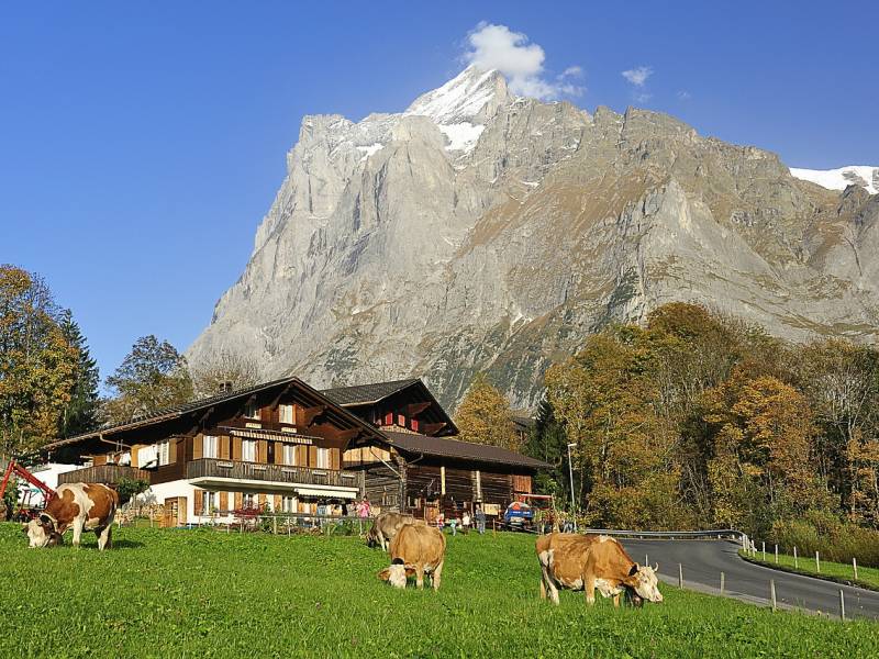 Aktivni turizam Grindelwald