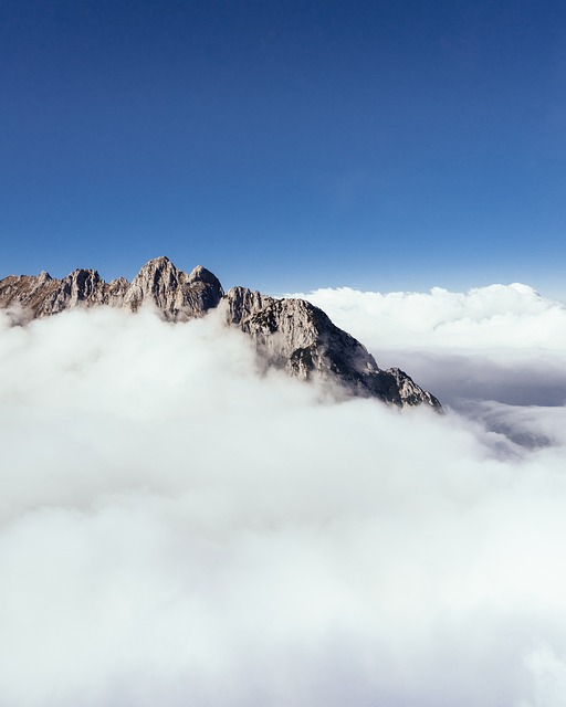 Gastronomy Austrian Alps