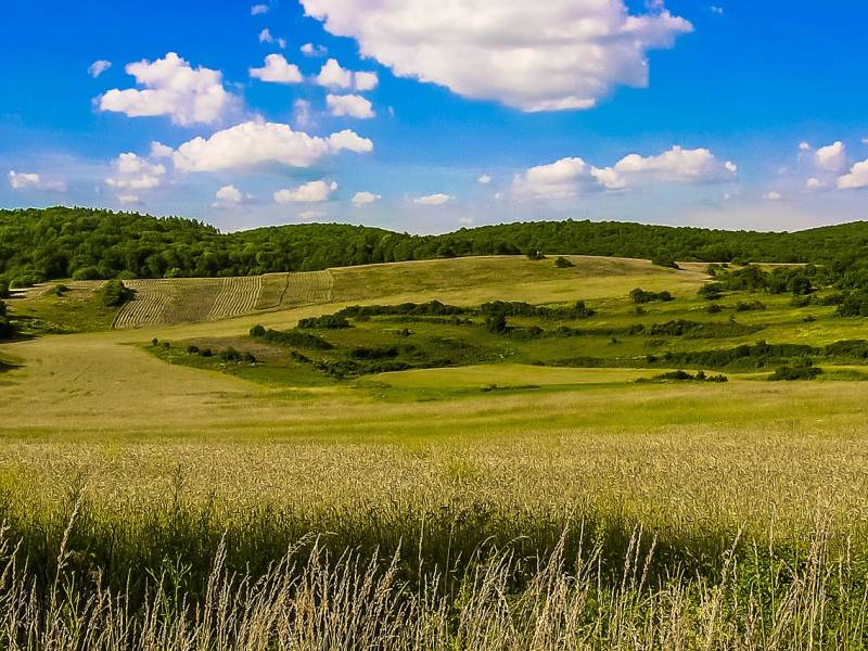 Prenosi Oščadnica