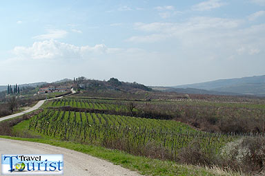 Turismo attivo Motovun - Montona