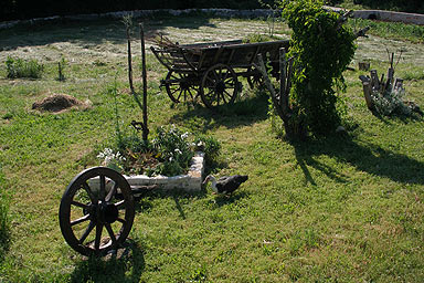 Health Tourism Agrotourism in Istria