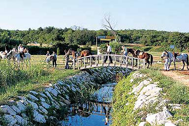 Agriturismo in Istria