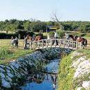 Transfers Agrotourism in Istria