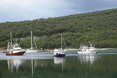 Noćni život Krnica