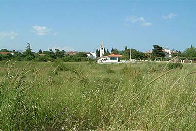 Gastronomy Krnica