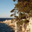 Veli Losinj - Lussingrande