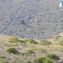 Health Tourism Islands Kornati