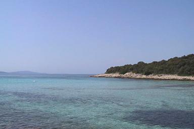 Otok Silba