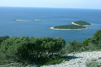 Gastronomy Ist Island Gastronomy Ist Island