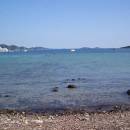Gastronomy Ist Island Gastronomy Ist Island