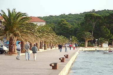 Gastronomy Makarska riviera