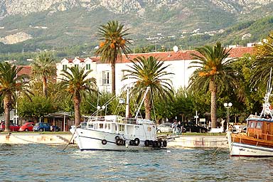 Gastronomy Makarska riviera