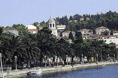 Nightlife Cavtat