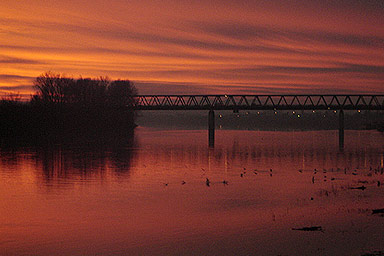 Nightlife Slavonski Brod