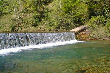 Gastronomy Vrbovsko