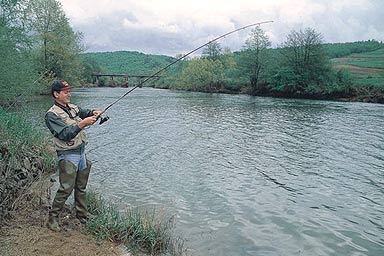 Bosiljevo