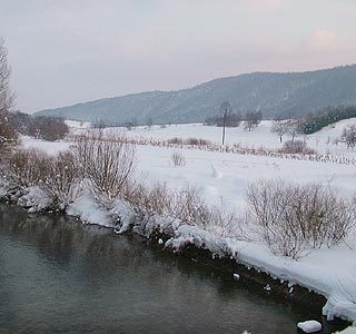 Gastronomija Bosiljevo