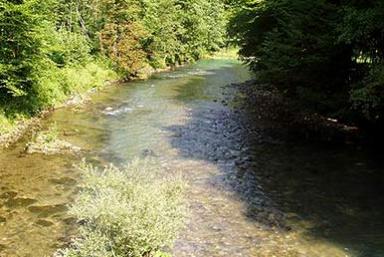 Zdravstveni turizam Brod na Kupi