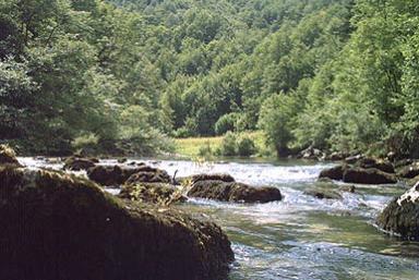 Zdravstveni turizam Brod na Kupi