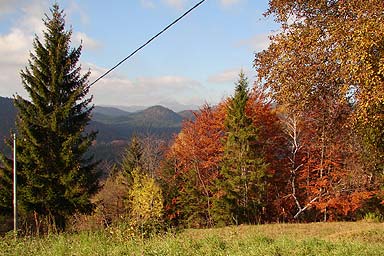 Zdravstveni turizam Tršće