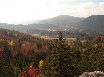 Izleti Tršće