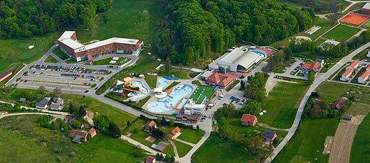 Gastronomija Toplice Sveti Martin