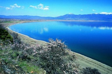 Noćni život Ohrid