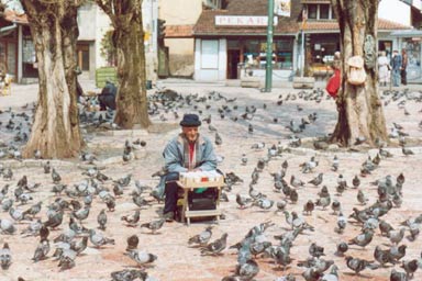 Gastronomy Bosnia and Herzegovina