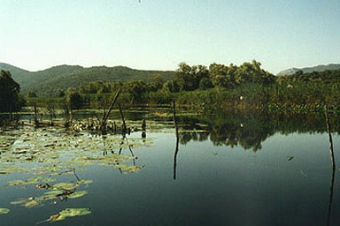 Izleti Čapljina