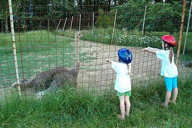 Gesundheitstourismus Grude