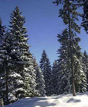 Zdravstveni turizem Jahorina