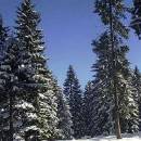 Jahorina