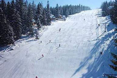 Active tourism Ski resort  Vlasic