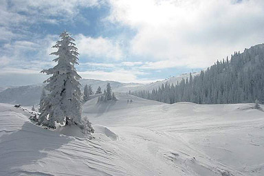 Transfers Ski resort Jahorina