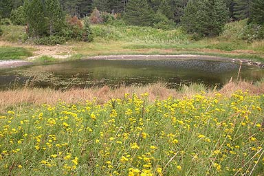 Skigebiet Blidinje