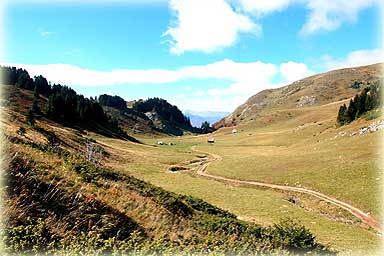 Gastronomy Kolasin