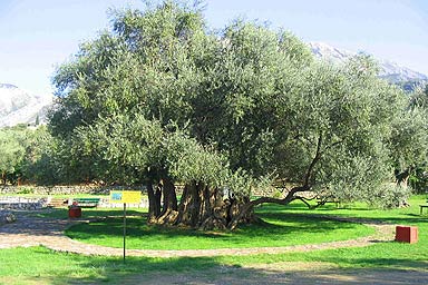 Gastronomy Coast of Montenegro