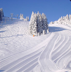 Ski resort Golte