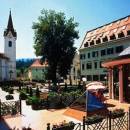 Excursions Terme Dolenjske