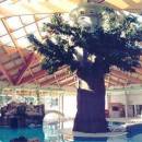 Therme Catez