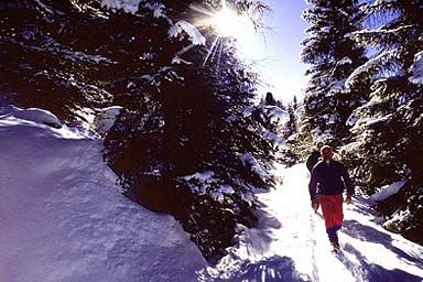 Ski en Val di Fiemme