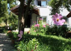Guest house Bakic Kolasin | Cipa Travel