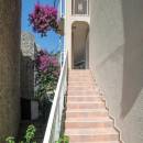 Elena Апартаменты Elena Apartmani | Budva | CipaTravel Elena Апартаменты Elena Apartmani | Budva | CipaTravel