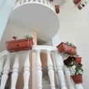 Aпартаменты Jovana Apartments Jovana Budva | Cipa Travel Aпартаменты Jovana Apartments Jovana Budva | Cipa Travel