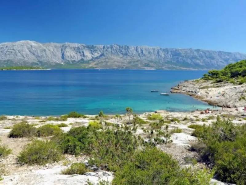 Villa avec piscine Selca, lîle Brac, Dalmatie, Croatie 