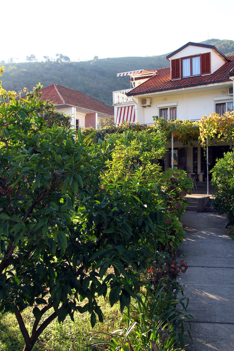 Апартаменты Markovic Centar 2 Apartments Markovic Centar 2 Budva | Montenegro | Cipa Travel Апартаменты Markovic Centar 2 Apartments Markovic Centar 2 Budva | Montenegro | Cipa Travel