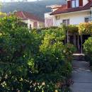 Апартаменты Markovic Centar 2 Apartments Markovic Centar 2 Budva | Montenegro | Cipa Travel Апартаменты Markovic Centar 2 Apartments Markovic Centar 2 Budva | Montenegro | Cipa Travel
