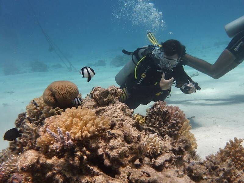 Active tourism Island Korcula