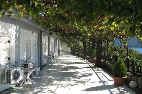 xanadu montenegro herceg