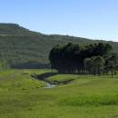 Tečaj risanja portreta, Motovun, Istra, Hrvaška 